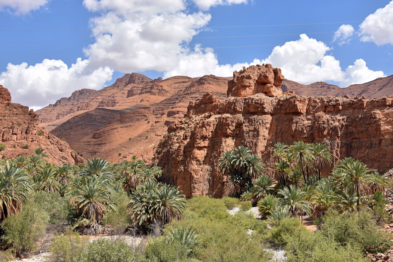 Prin muntii Anti-Atlas – De la fortarete berbere la valurile Atlanticului