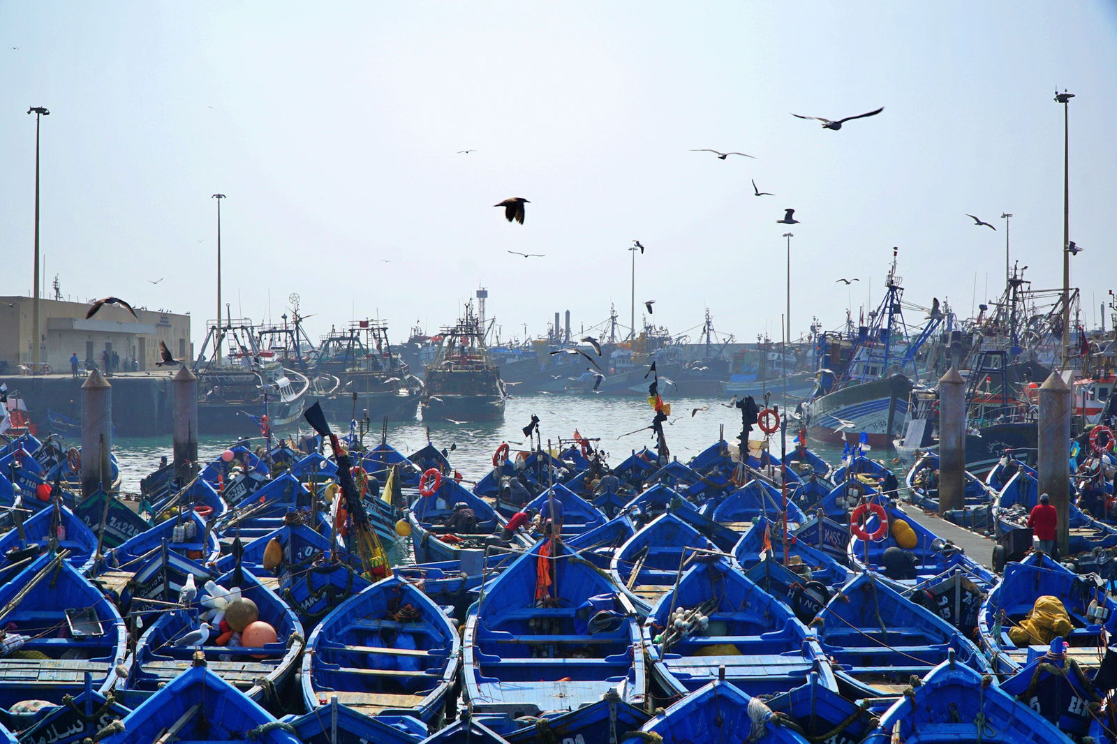 Essaouira – Orasul vantului si al libertatii