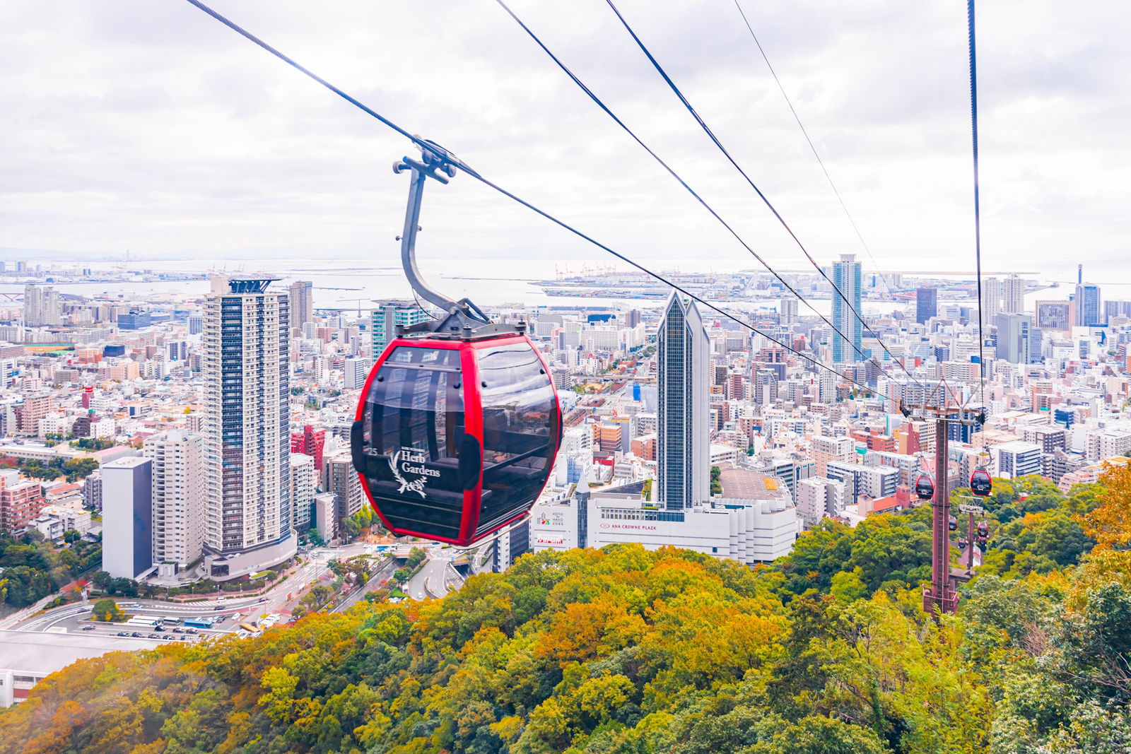 Japonia - Kyoto (Osaka) / Kobe