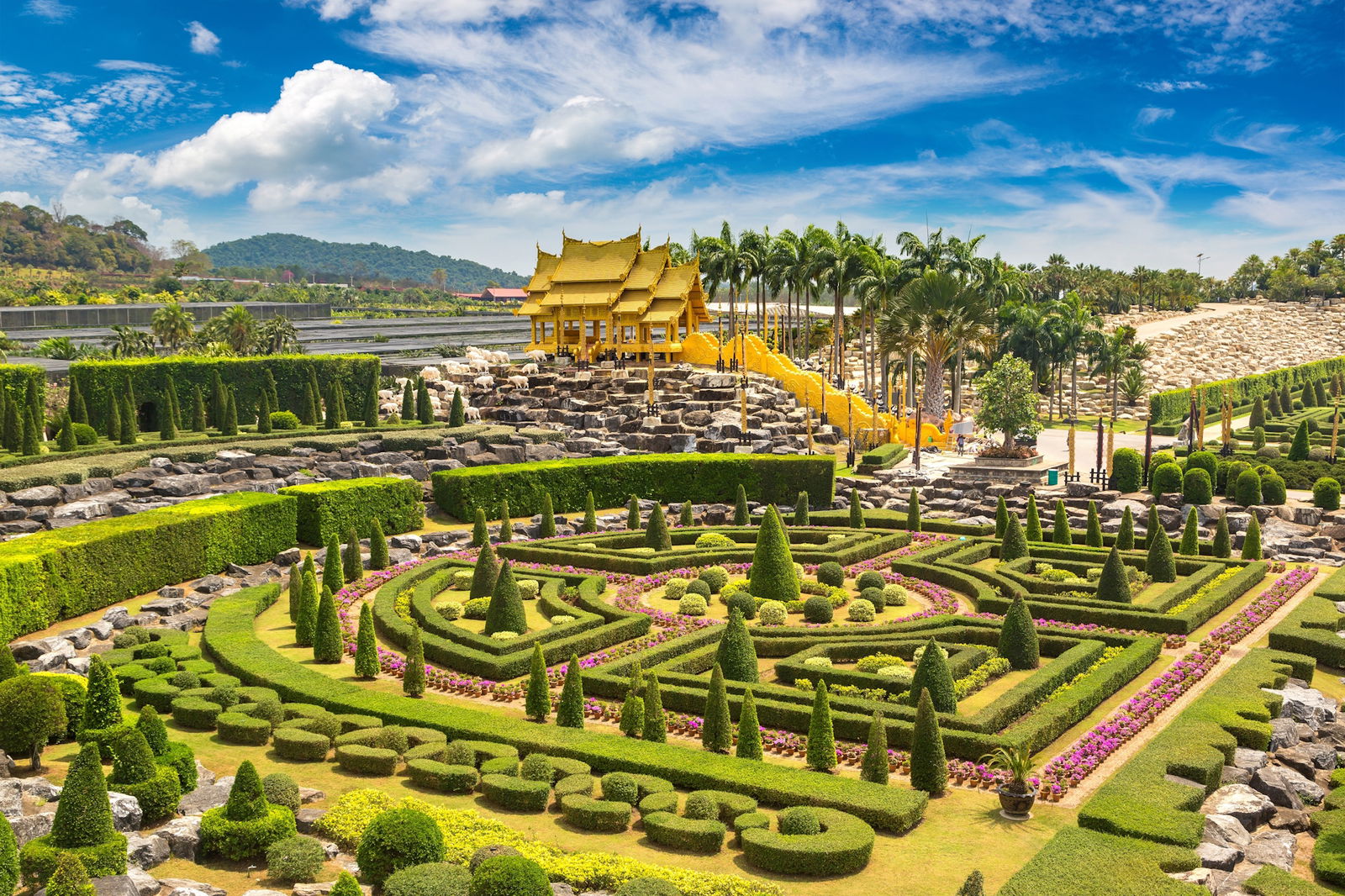 Bangkok – Gradina Tropicala Nong Nooch – Sosire in Pattaya