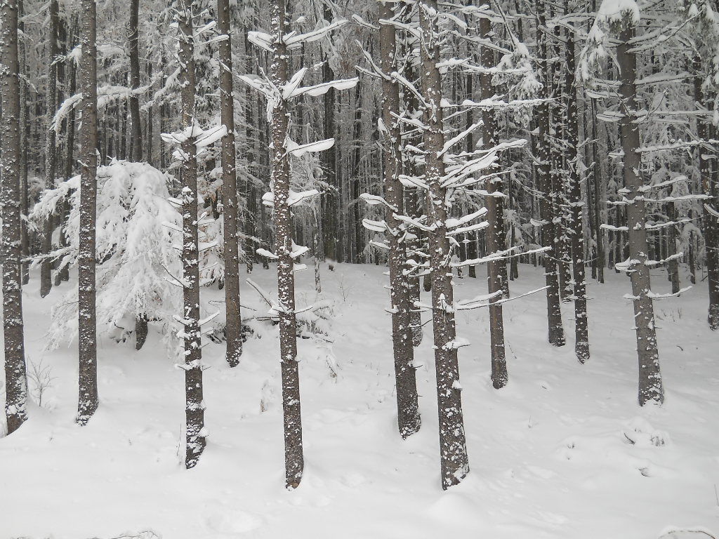 revelion-cu-drag-de-natura-la-sovata