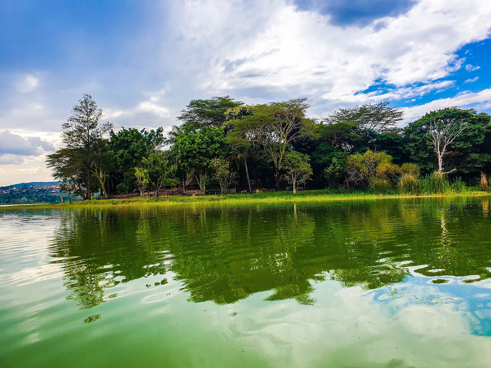 LACUL MANYARA – ULTIMA POVESTE A SAFARIULUI