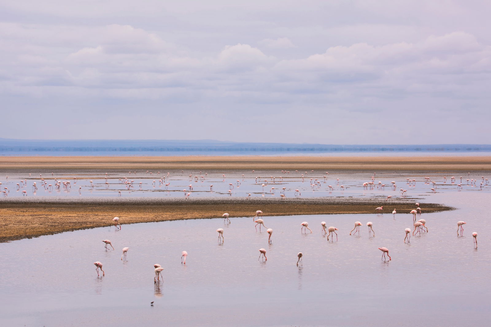 LAKE MANYARA NATIONAL PARK – MOSHI
