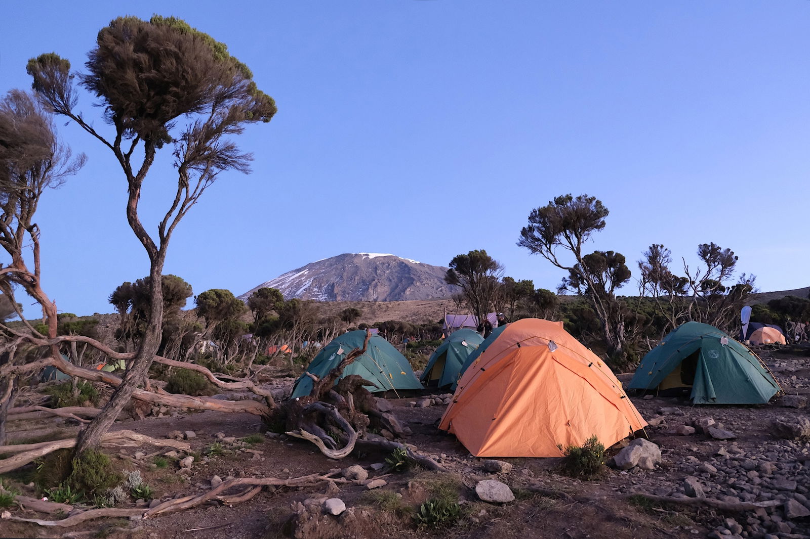 MOSHI – KILIMANJARO – BUCURESTI