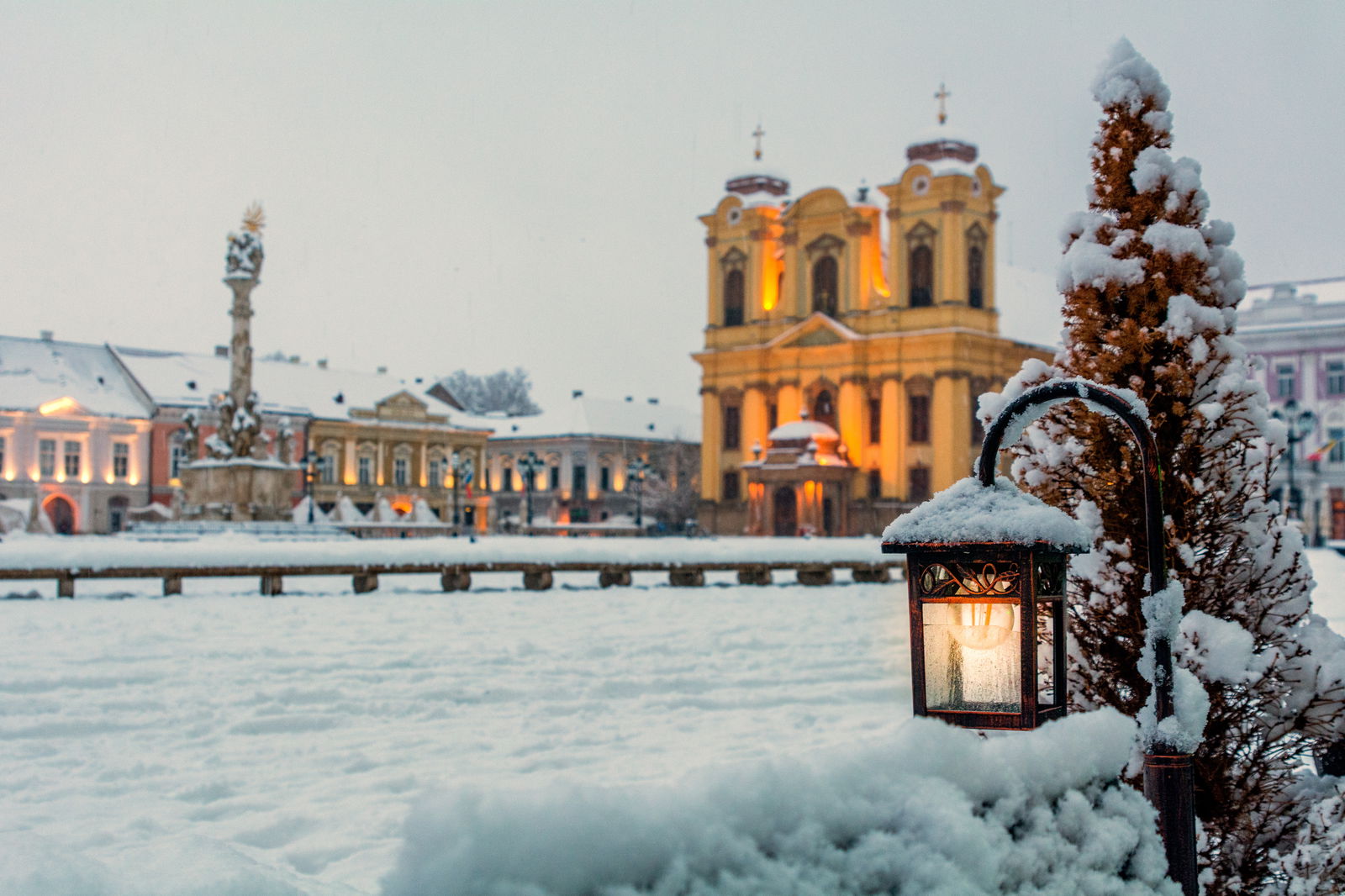 timisoara-si-mai-frumoasa-de-revelion