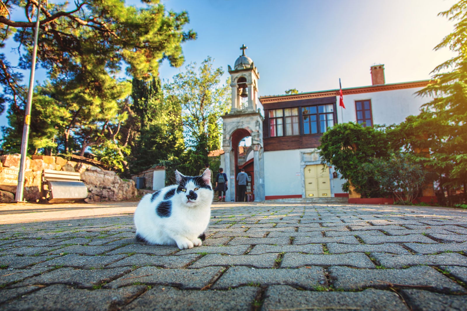 Buyukada, Istanbul, Turcia