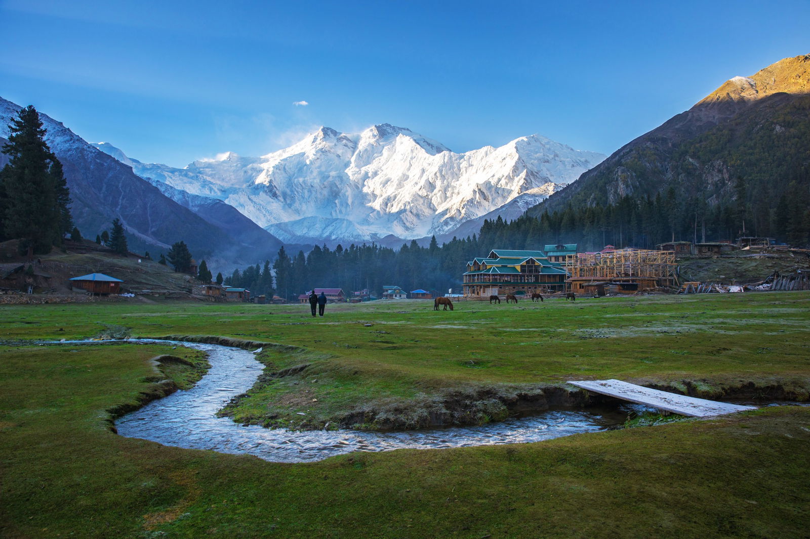 Fairy Meadows