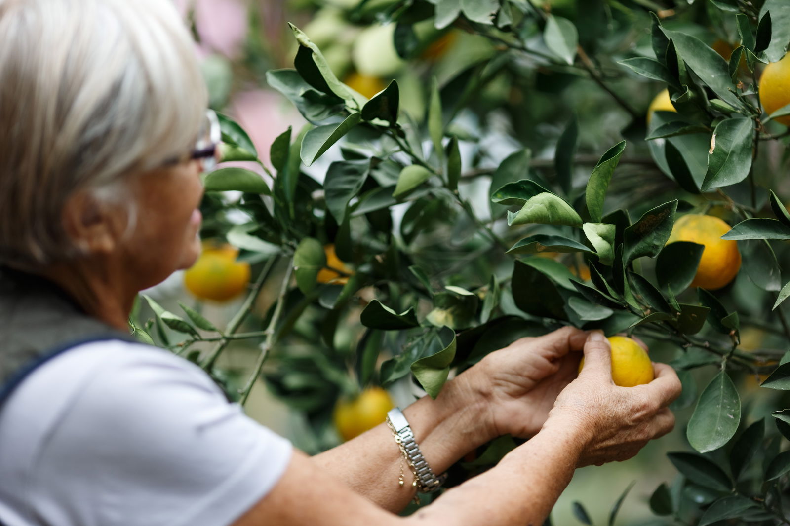 cipru-o-insula-mica-cu-o-inima-mare