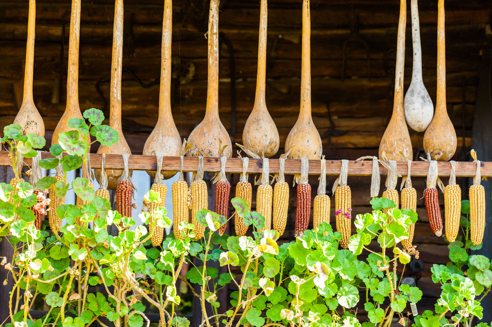 tara-hategului-intre-istorie-si-legenda