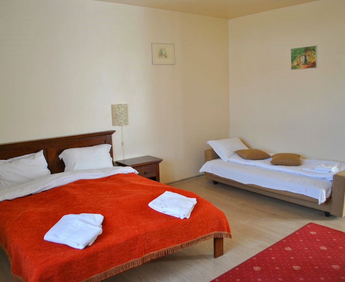 Pensiunea Vila Veche