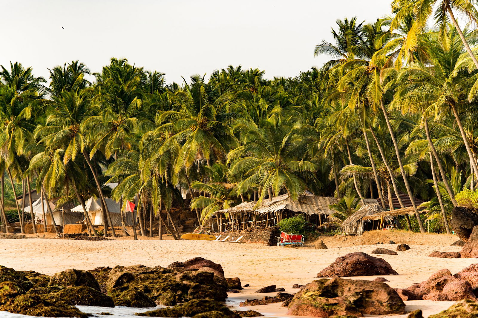 Circuit Sri Lanka si plaja in Kerala - India