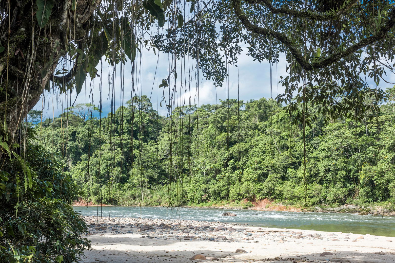 Excursie Circuit ecuador-galapagos