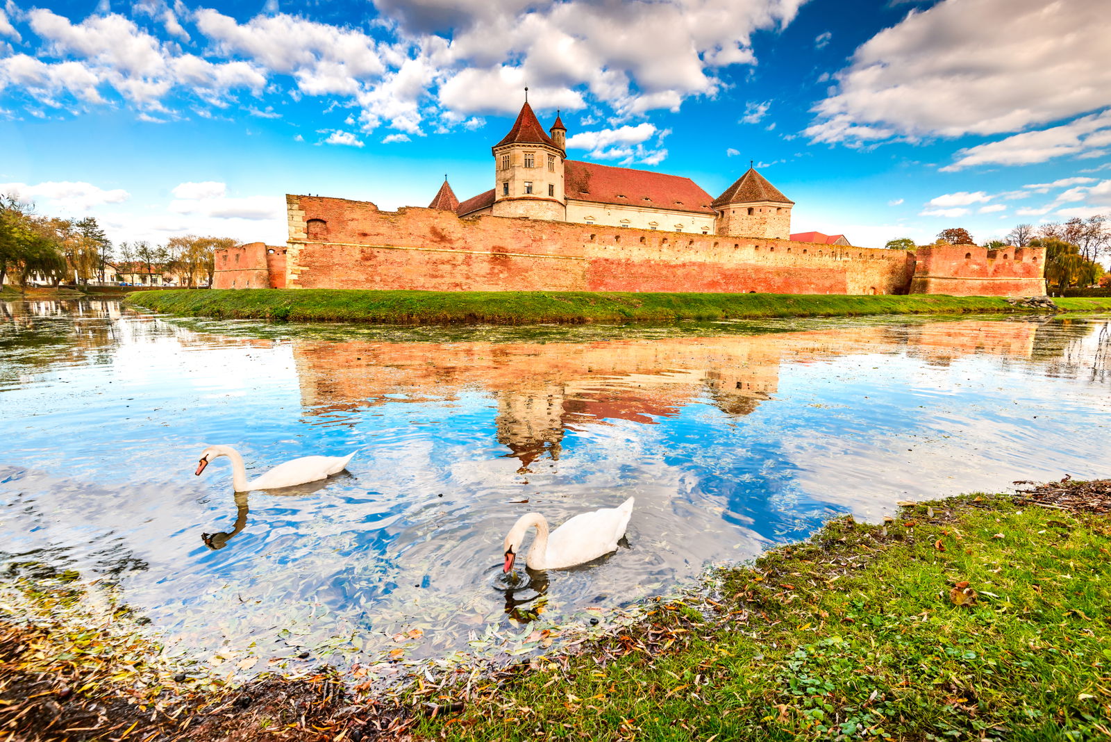 tara-fagarasului-taram-plin-de-curiozitati