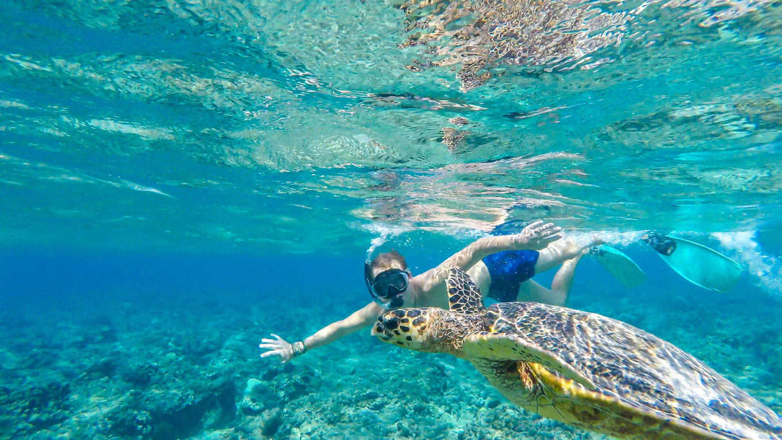 Island Hopping & Snorkeling in Jurul Insulelor Gili