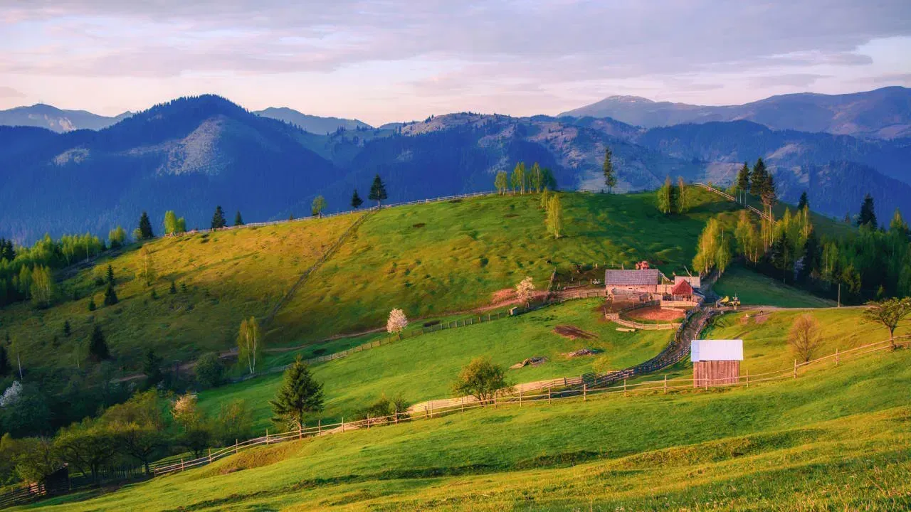 paste-imbelsugat-in-bucovina