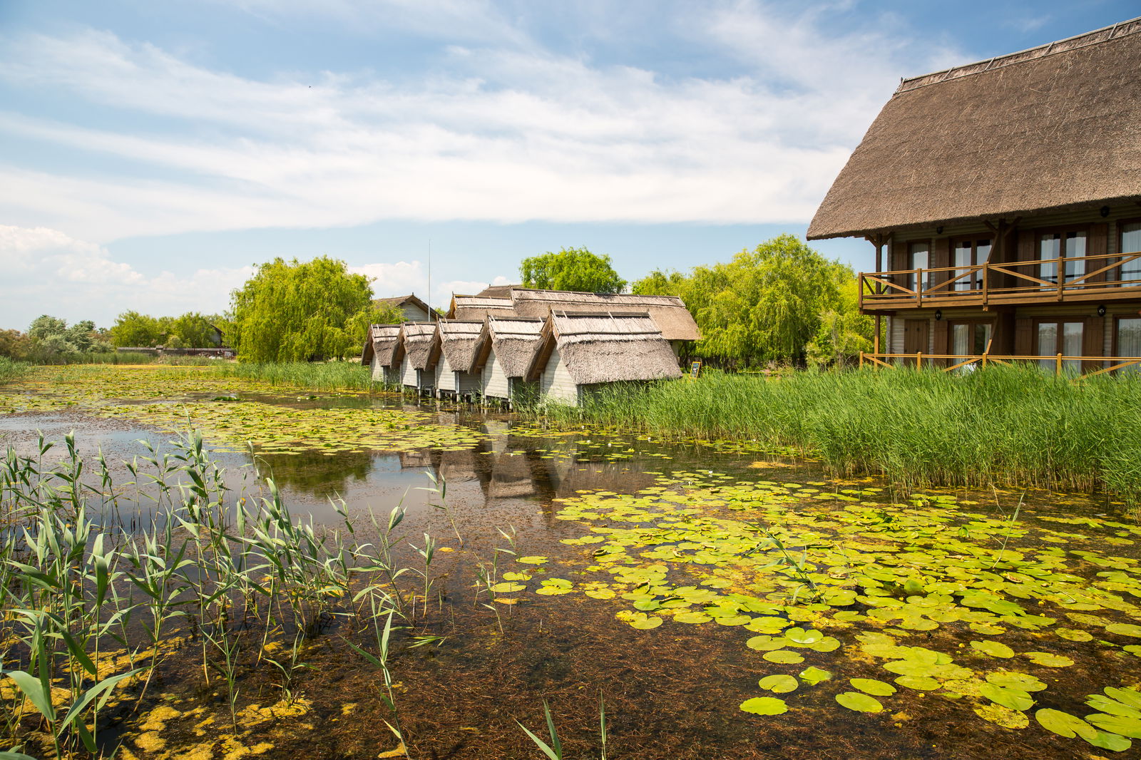 paste-in-delta-dunarii-incursiune-culturala-si-gastronomica-unica