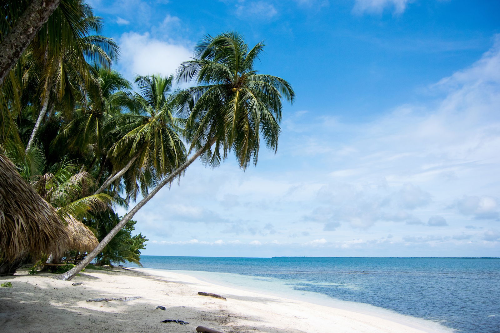 "Picnic pe o Insula Pustie"