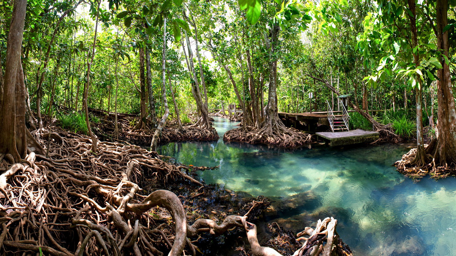 Safari pe Rau in Mangrovele din Balapitiya & Orfelinatul de Elefanti