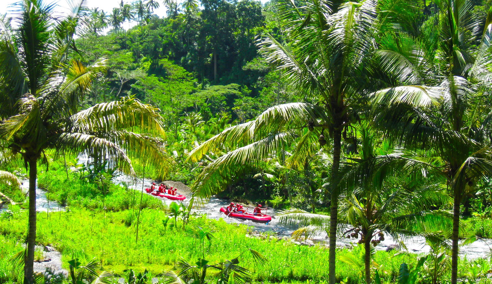Rafting pe Raul Ayung
