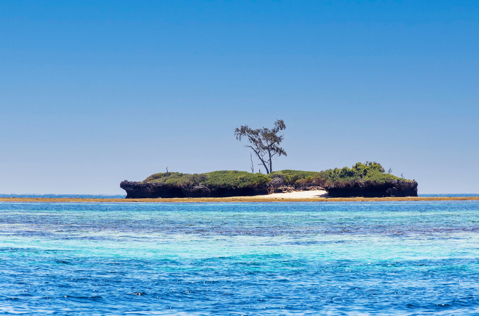 Snorkeling si Delfini la Parcul Marin Kisite-Mpunguti