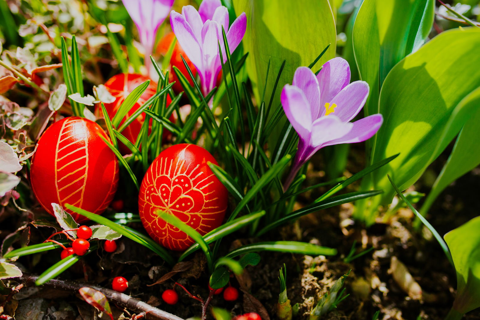 cura-de-relaxare-de-paste-in-baile-tusnad