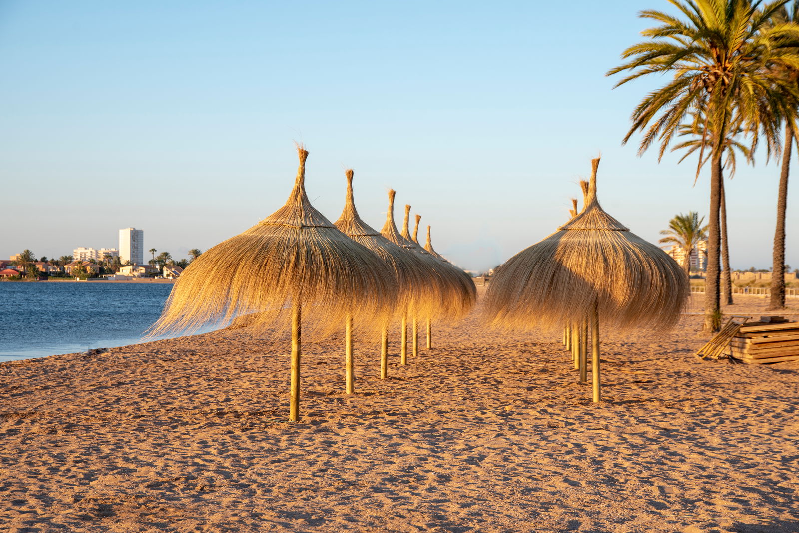 paste-murcia-si-costa-calida