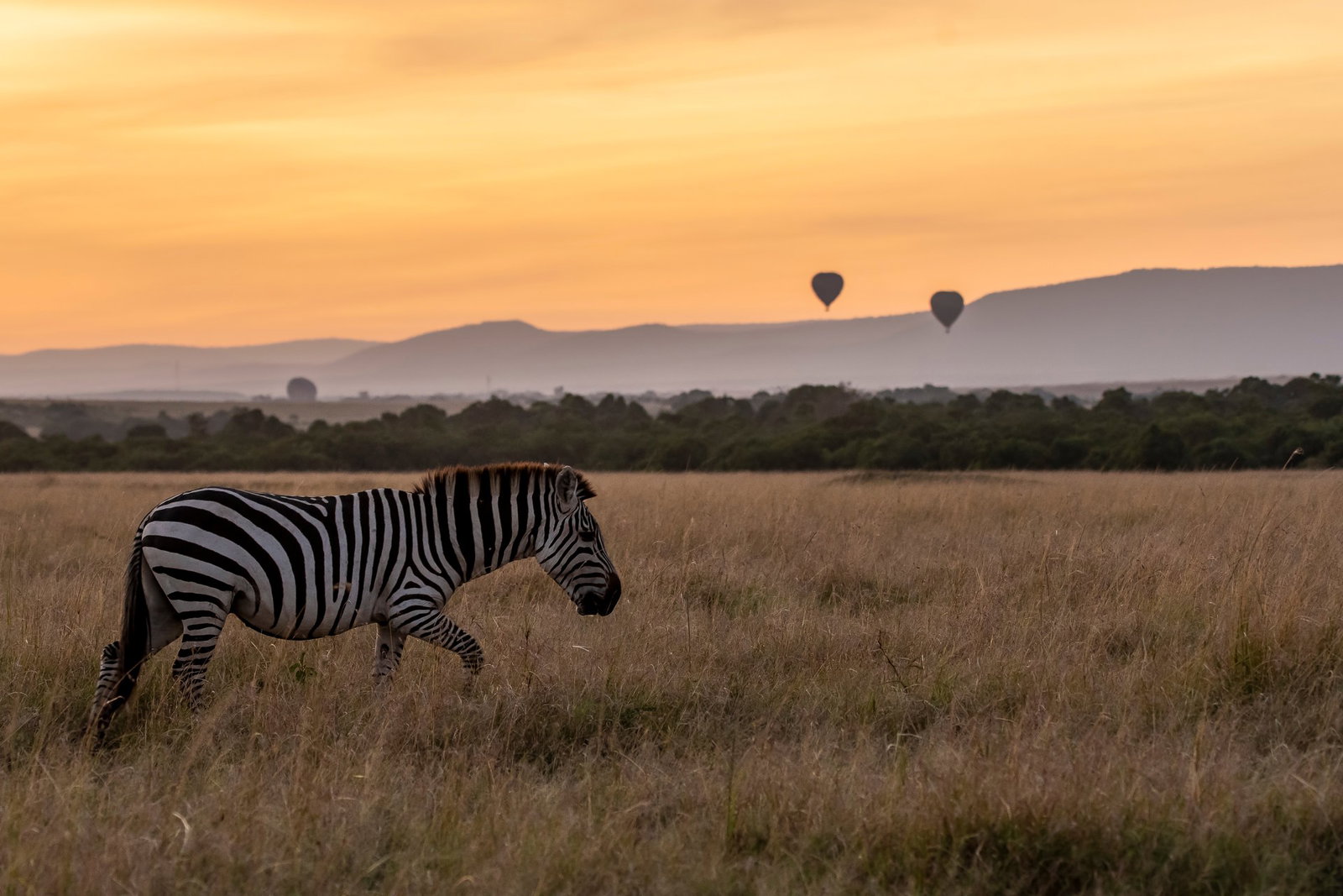 marea-migratie-in-kenya-tanzania