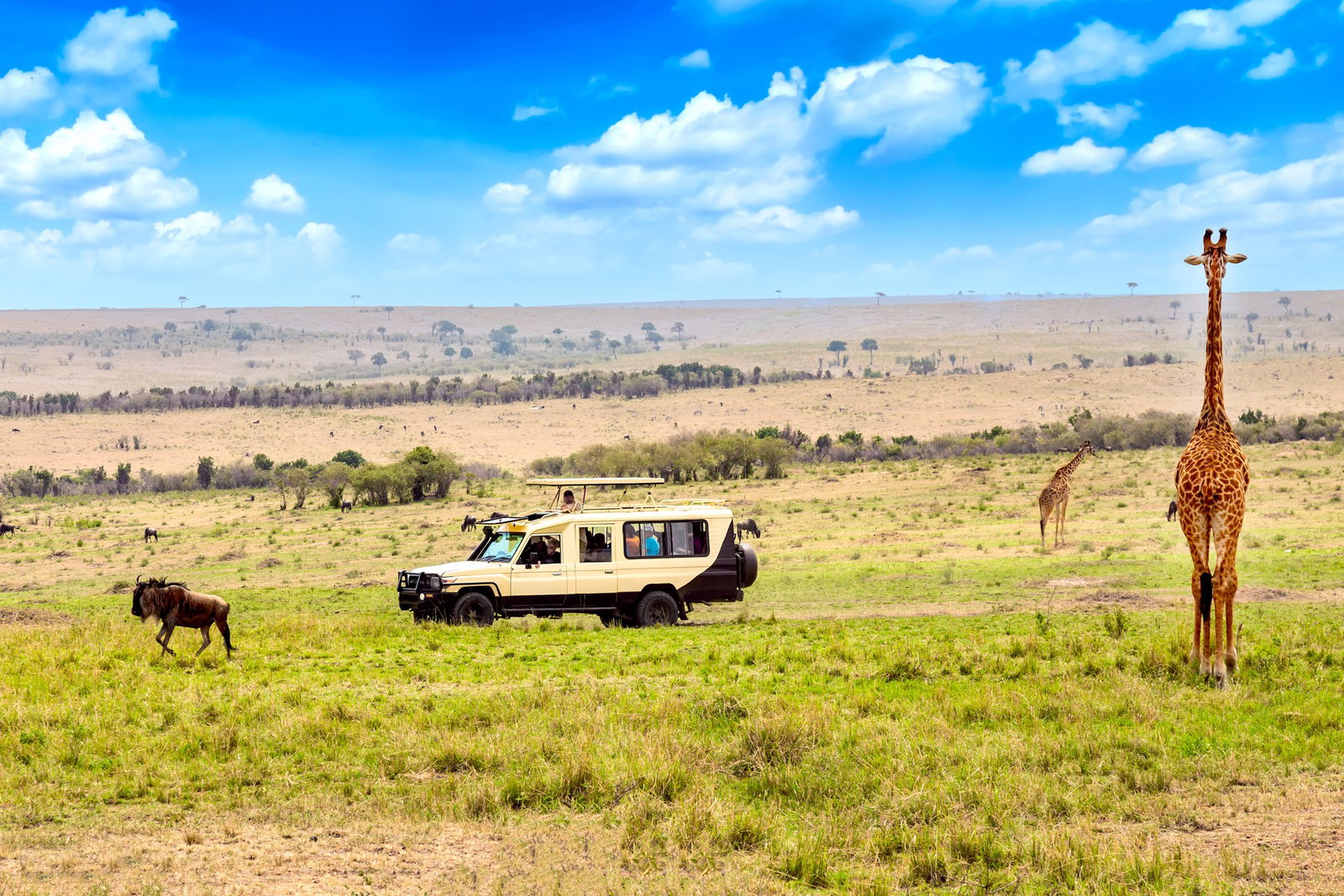marea-migratie-in-kenya-tanzania