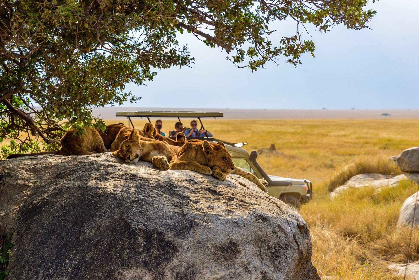 marea-migratie-in-kenya-tanzania