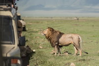 Circuit Legendele de sub Kilimanjaro - O Aventura in Tanzania