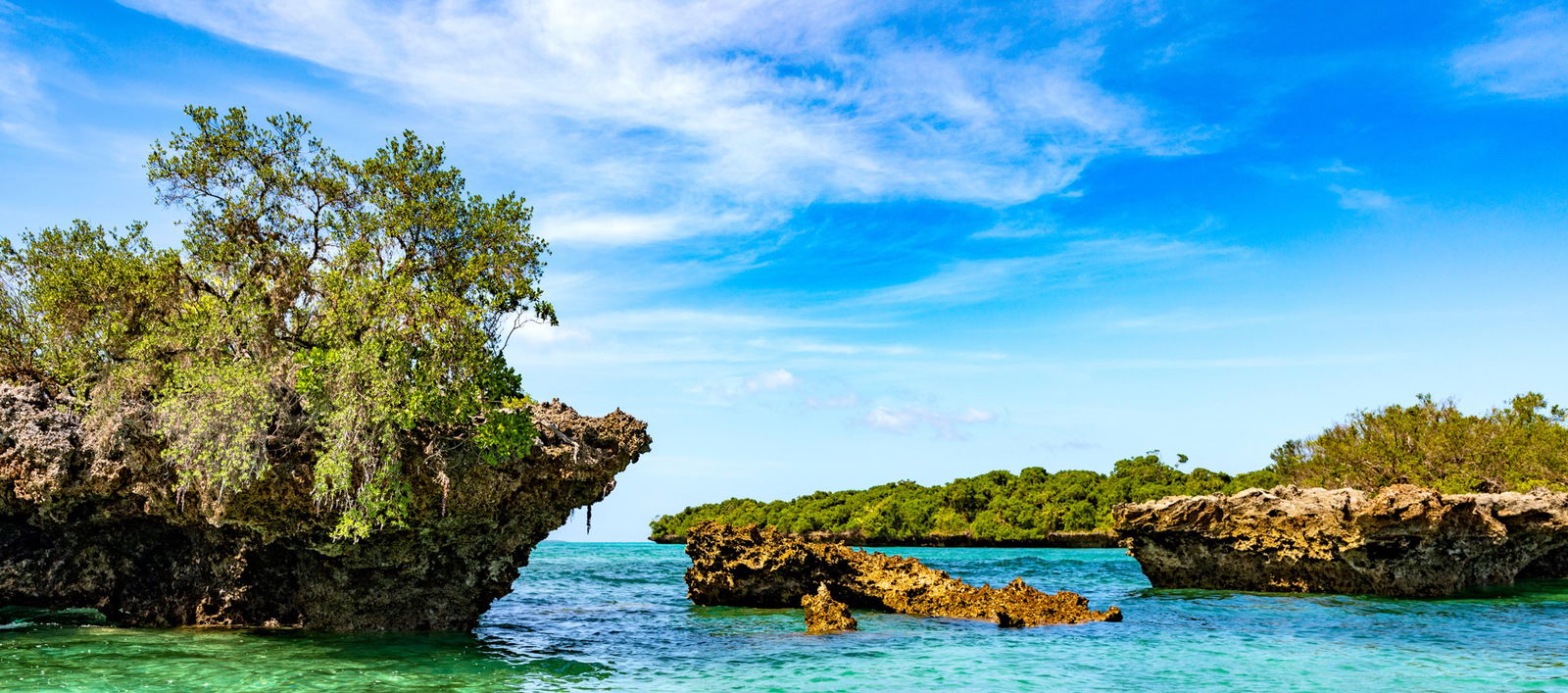 Aventura "Safari Blue"