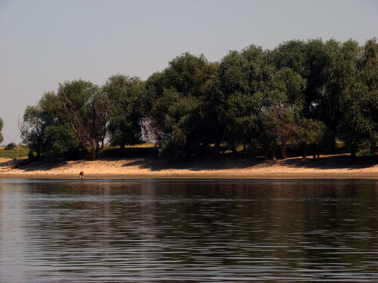 Excursie Circuit regatul-cailor-salbatici-tainele-naturii-1-zi