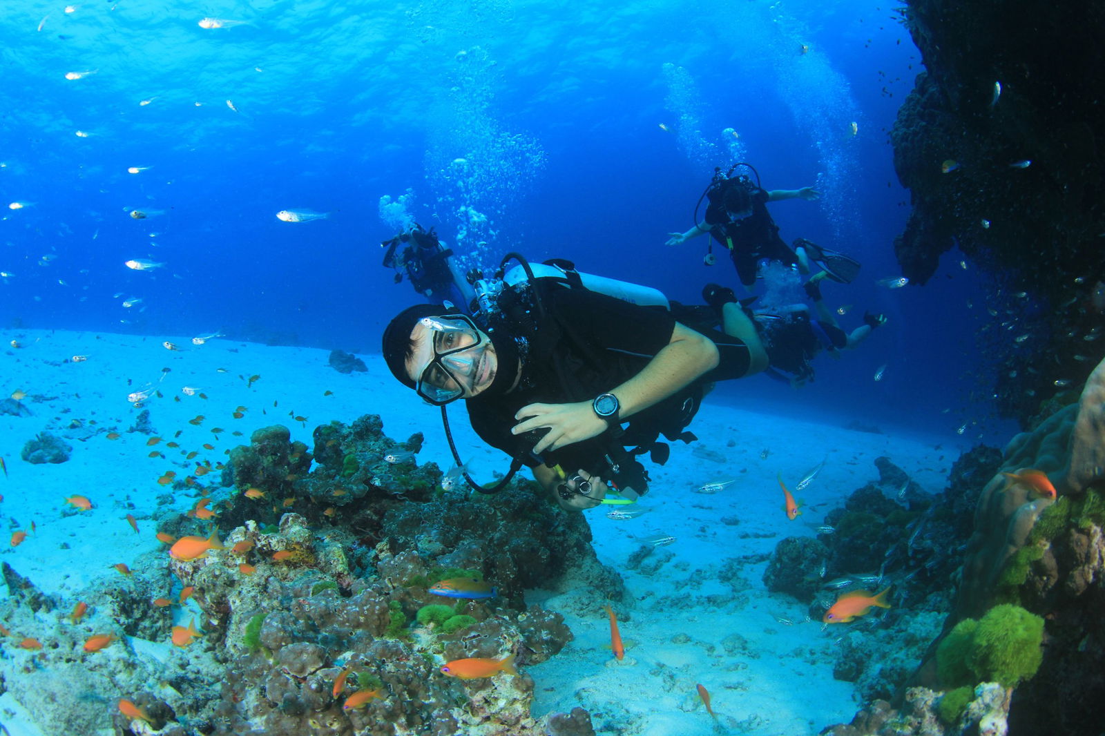 Discover Scuba Diving