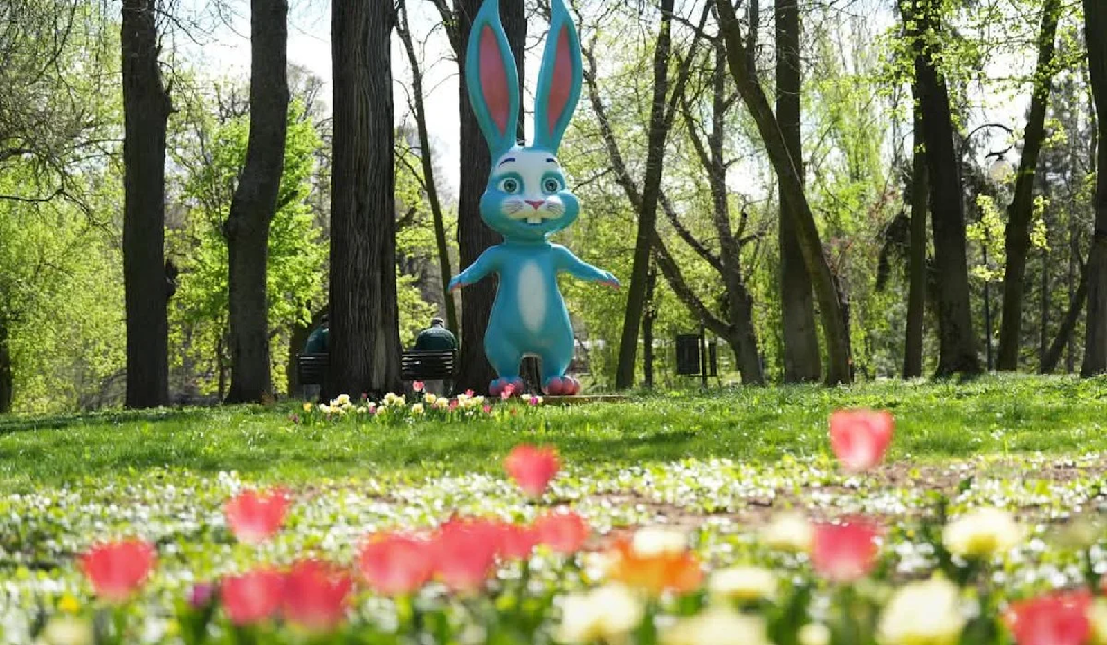 Excursie Circuit florii-la-tragul-de-paste-de-la-craiova-1-zi