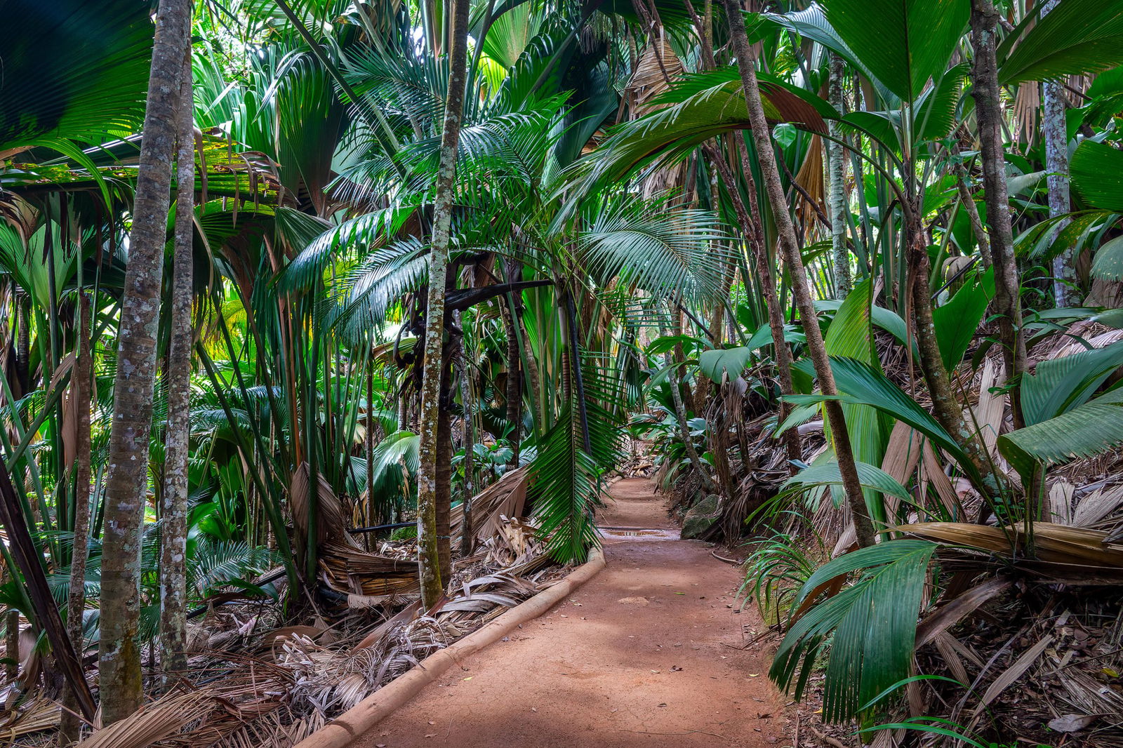 Sanctuarele din Praslin - Vallée de Mai & Anse Lazio
