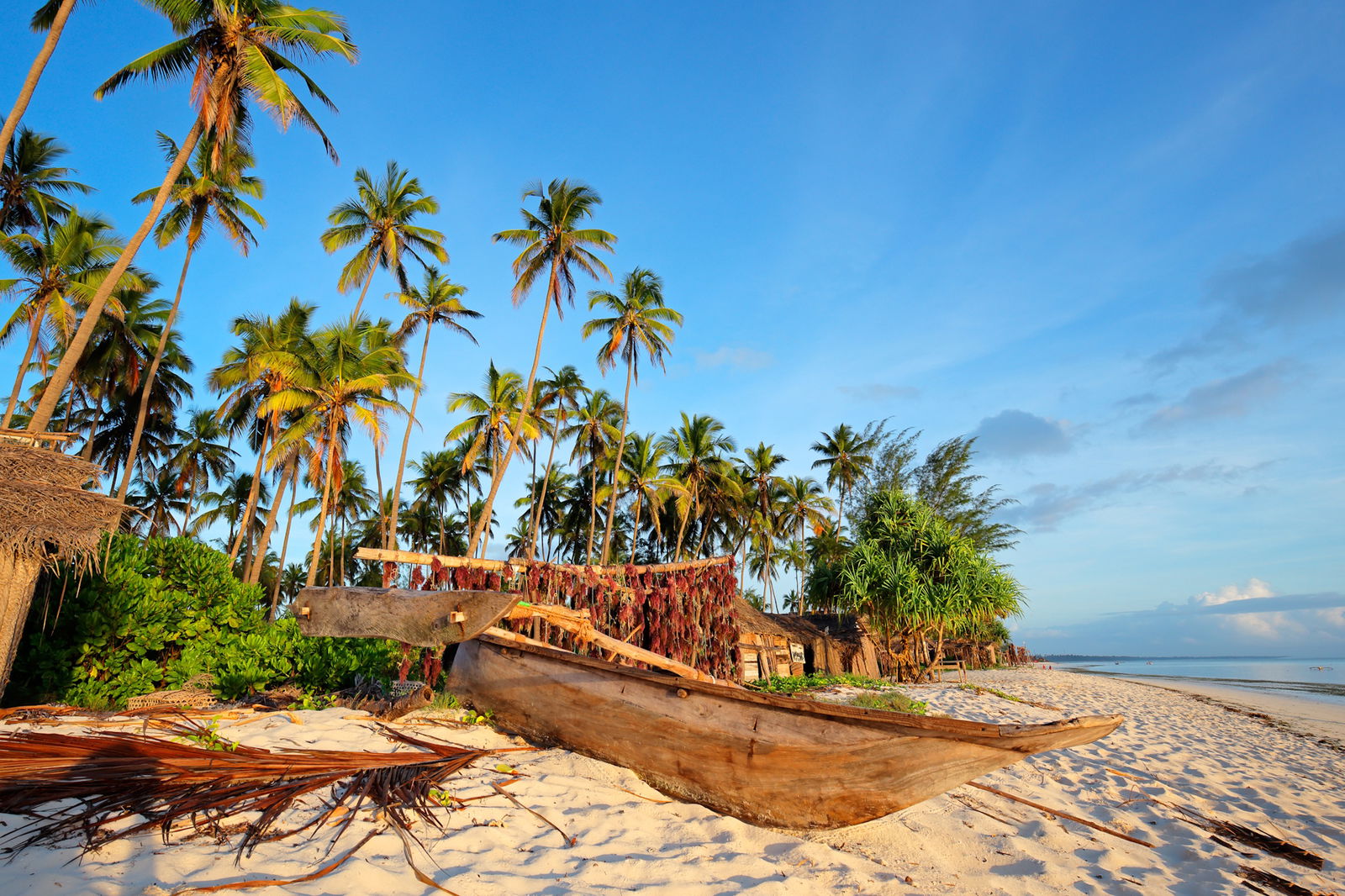 Regele Leu - Expediție de Familie in Tanzania si Plaja Zanzibar