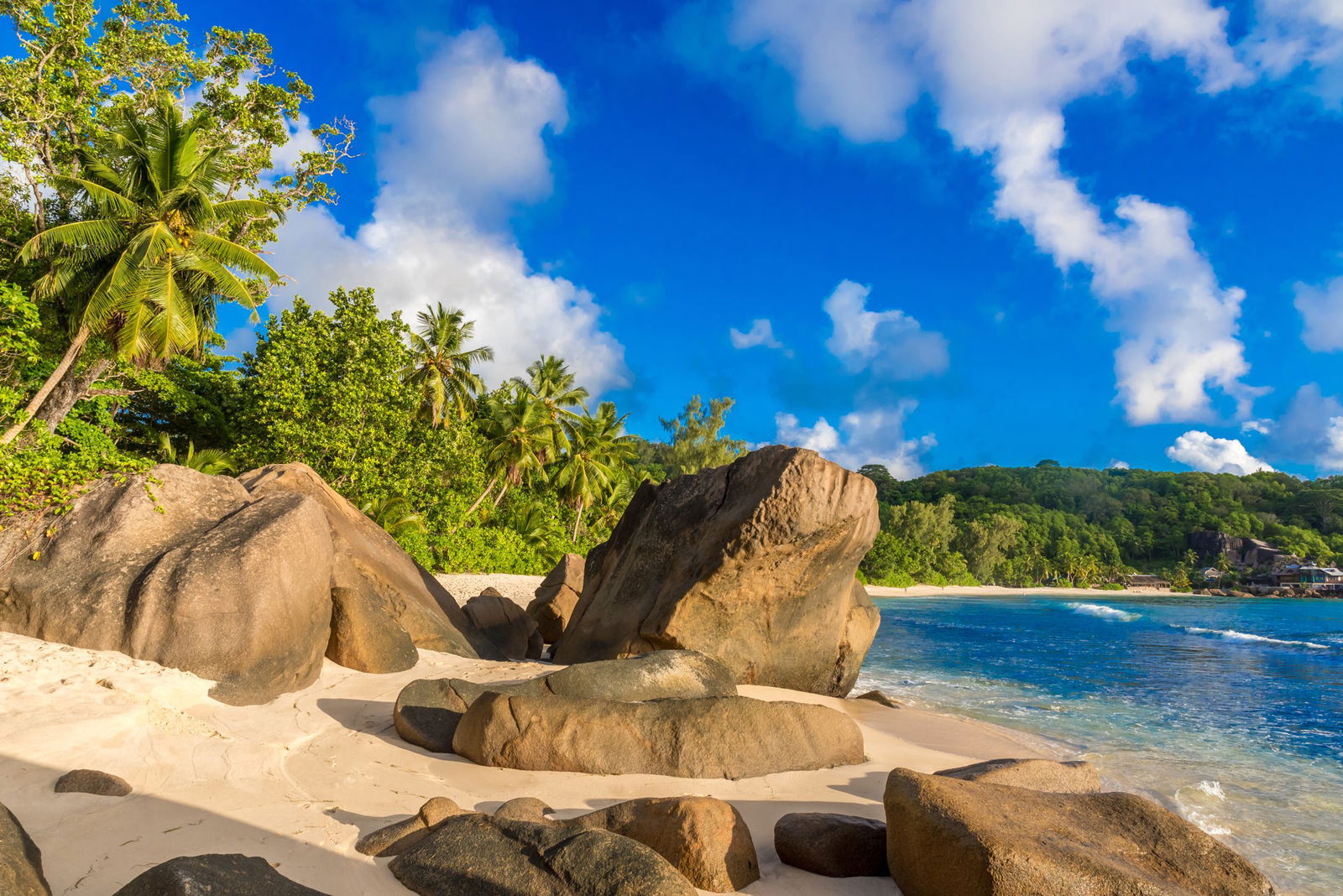 Excursie Circuit safari-in-kenya-plaja-in-seychelles