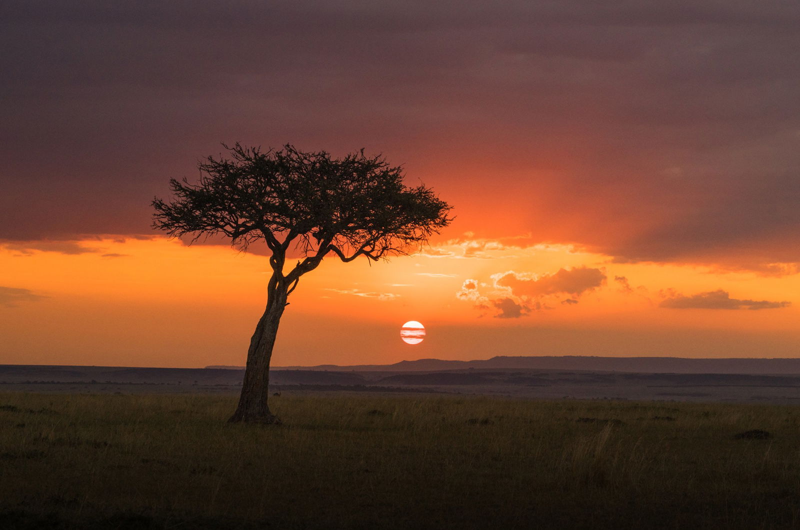 Excursie Circuit safari-in-kenya-plaja-in-seychelles