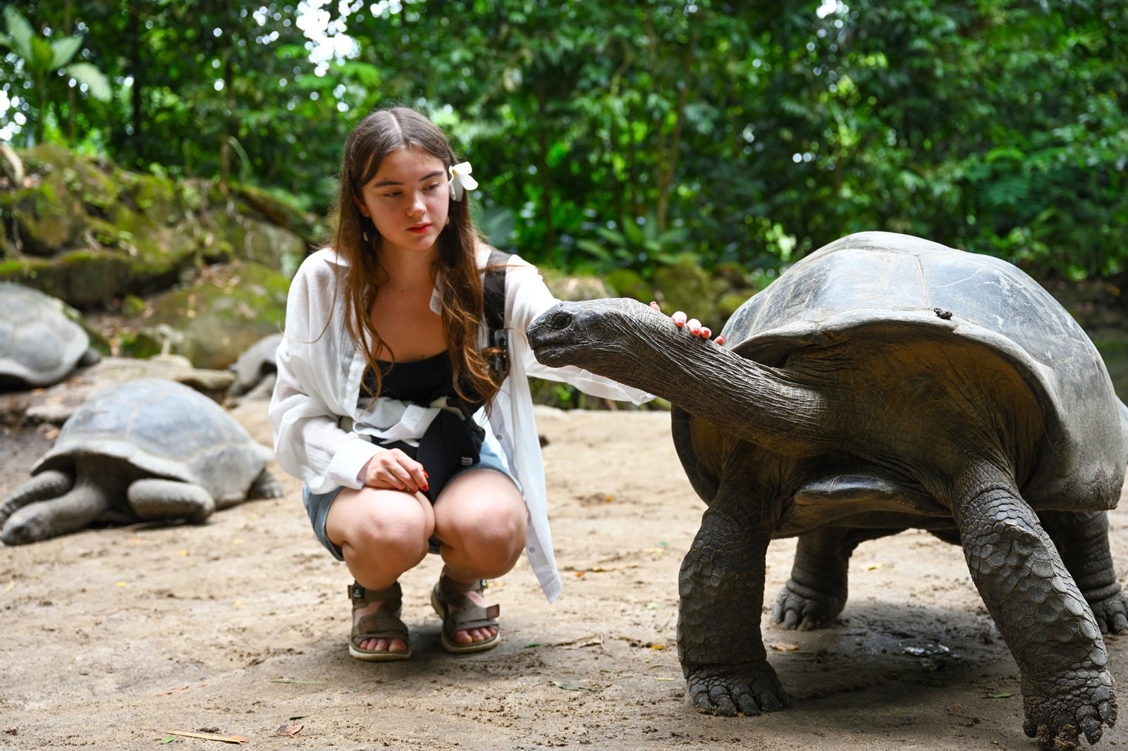 Excursie Circuit seychelles-inima-de-smarald