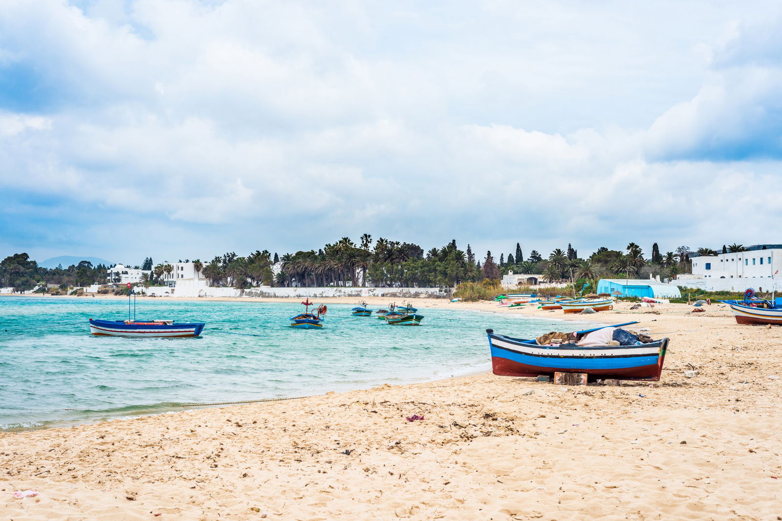 Excursie Circuit secretele-cartaginei