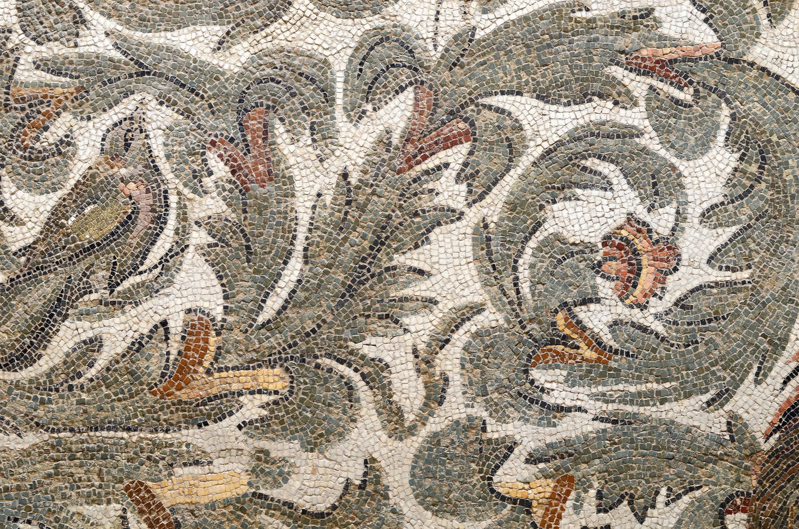 Excursie Circuit secretele-cartaginei