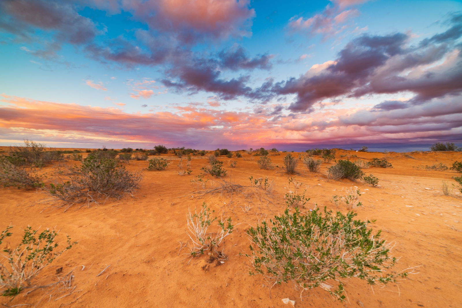 Excursie Circuit sahara-manuscrisul-de-nisip