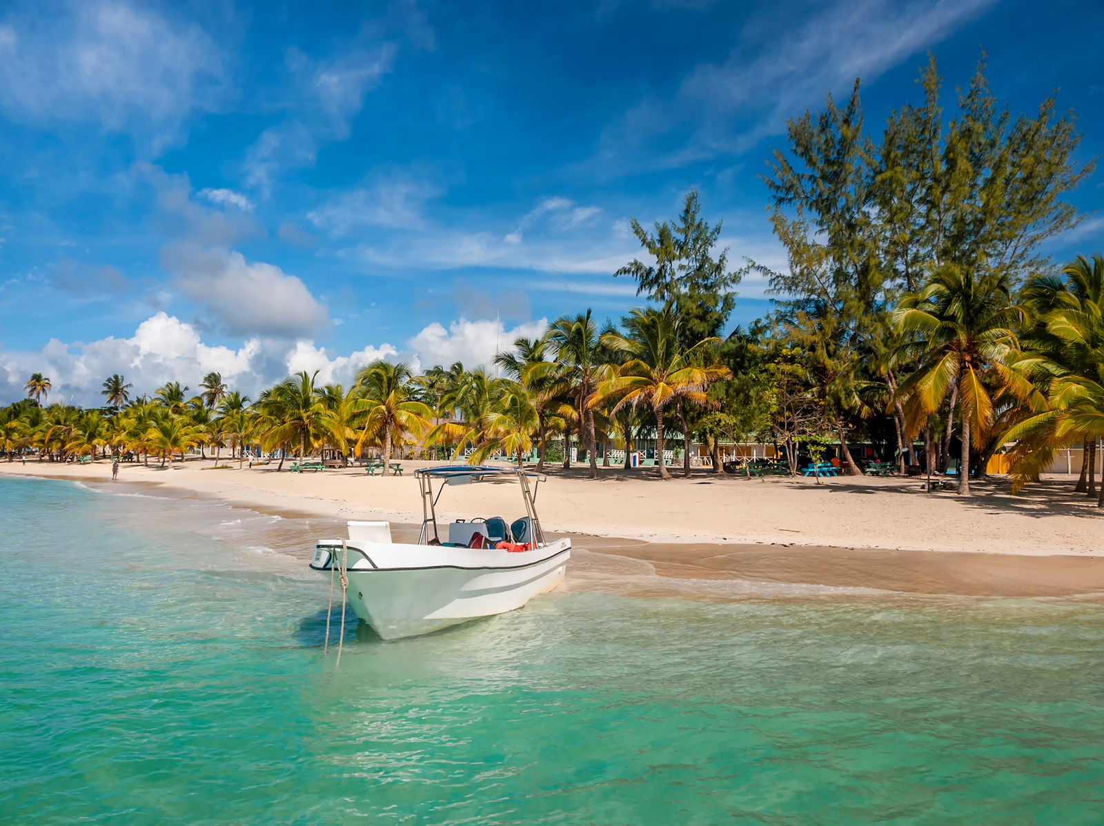 Odisee pe Insula Saona