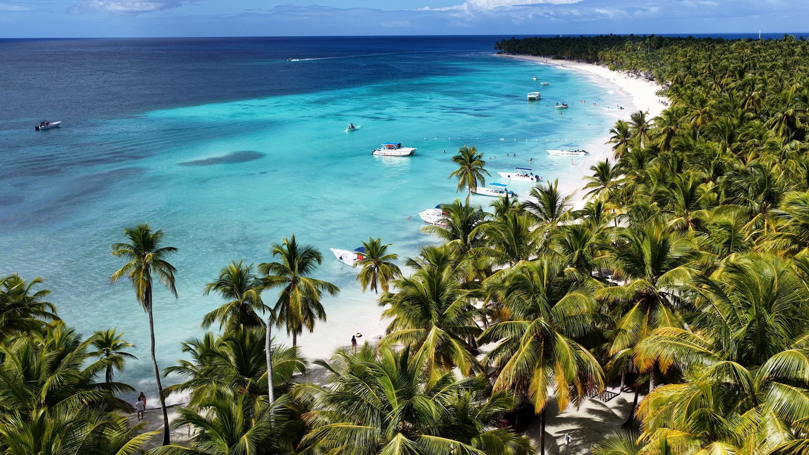 Odisee pe Insula Saona