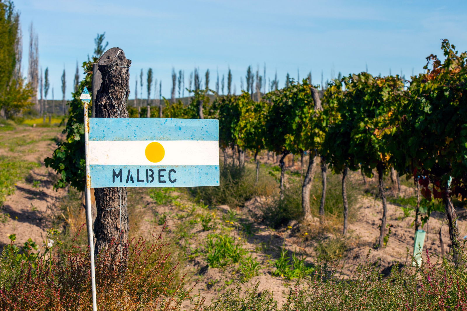 Excursie Circuit argentina-tara-tangoului-si-a-vinului-de-malbec