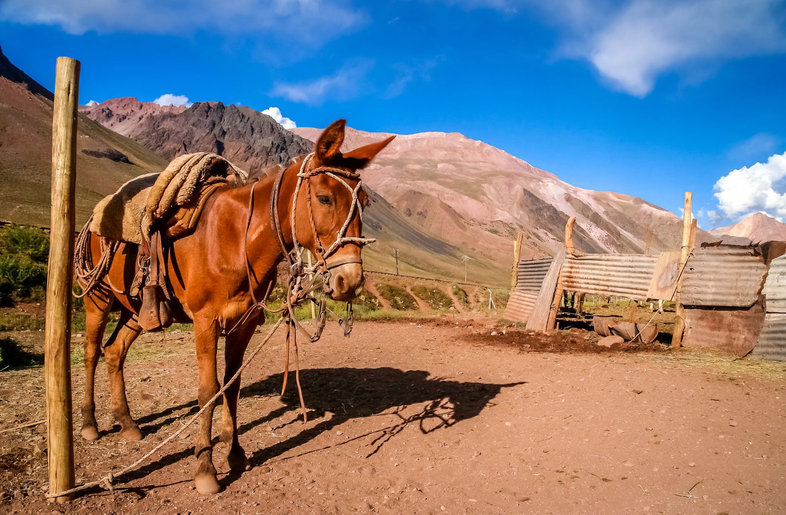 Odiseea Gaucho – O Zi in Pampa la o Estancia Traditionala