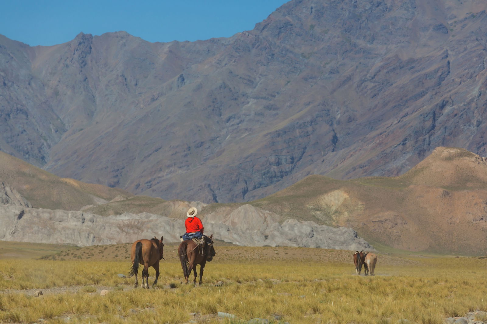 Odiseea Gaucho – O Zi in Pampa la o Estancia Traditionala