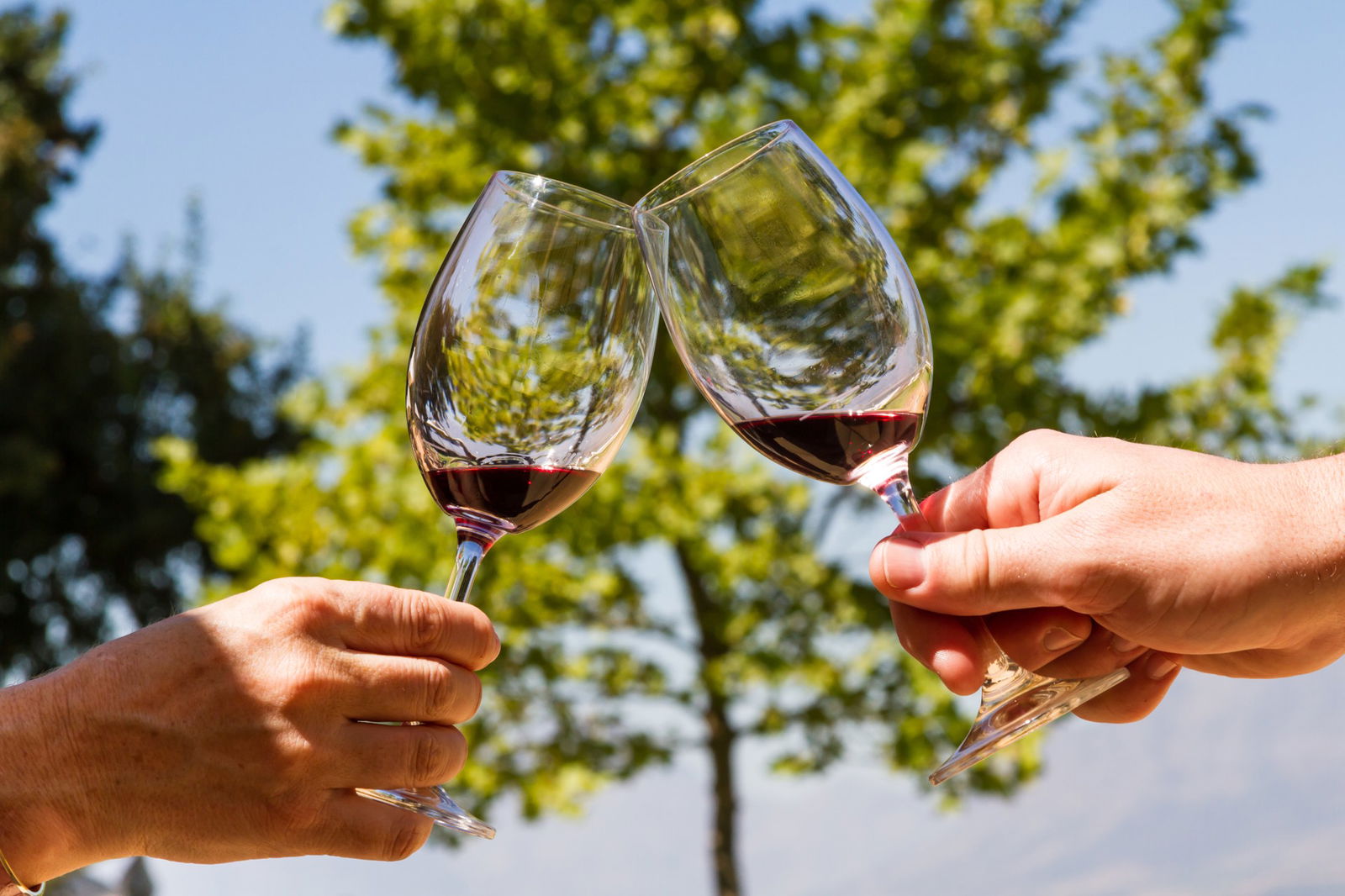 Excursie Circuit africa-de-sud-natiunea-curcubeu-si-safari-in-savana