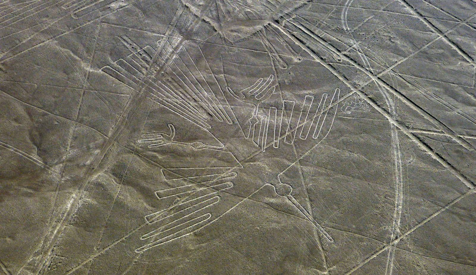 Survolul Liniilor Nazca