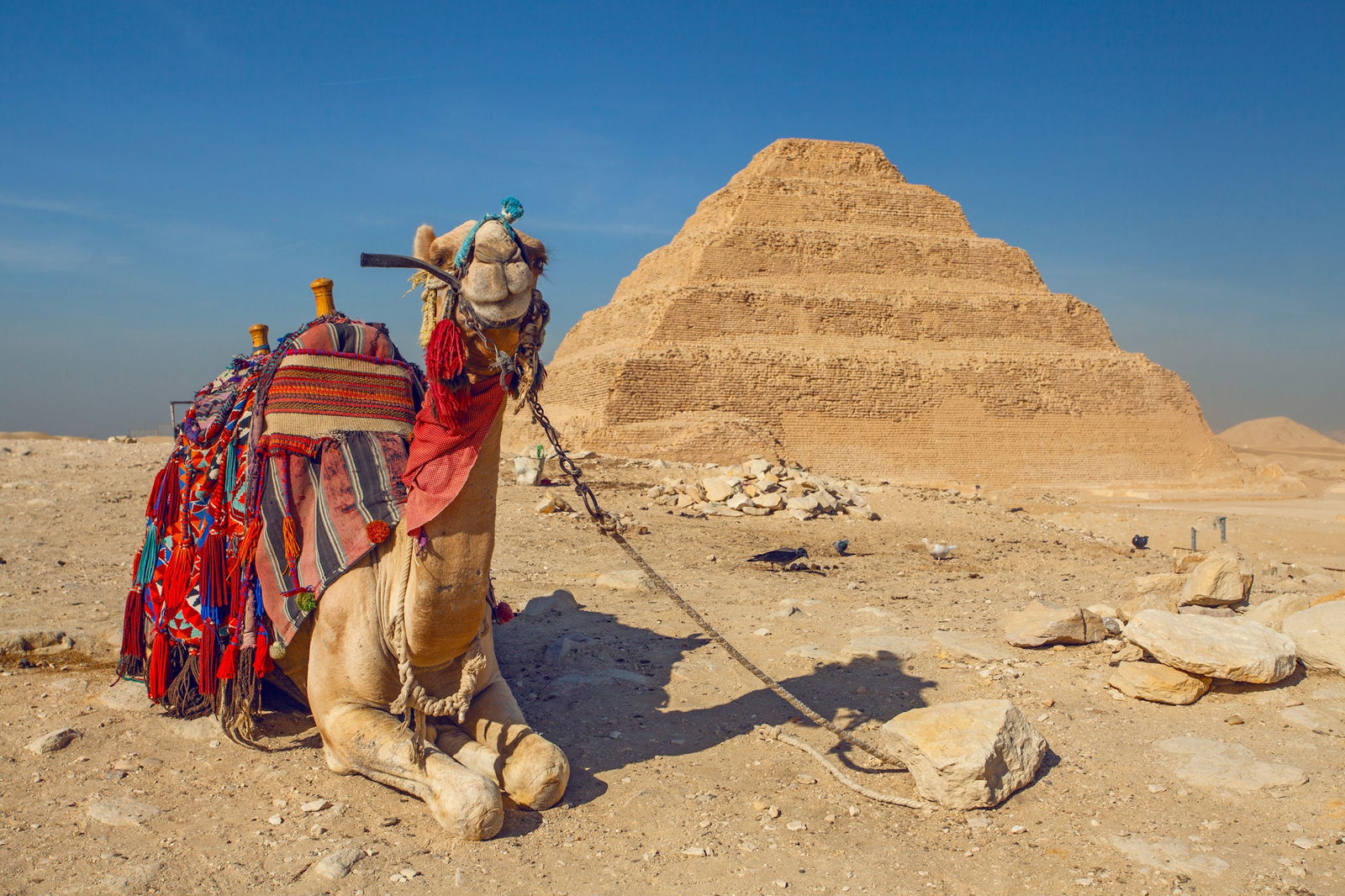 Excursie Circuit pe-urmele-lui-alexandru-piramidele-din-giza